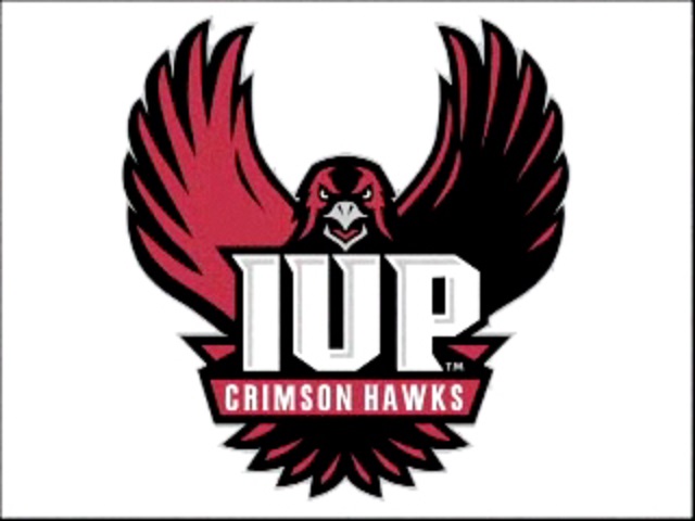 Crimson Hawk
