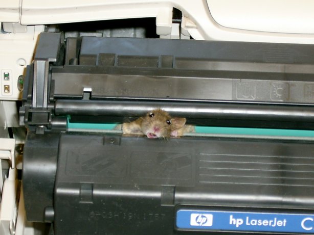printer mouse